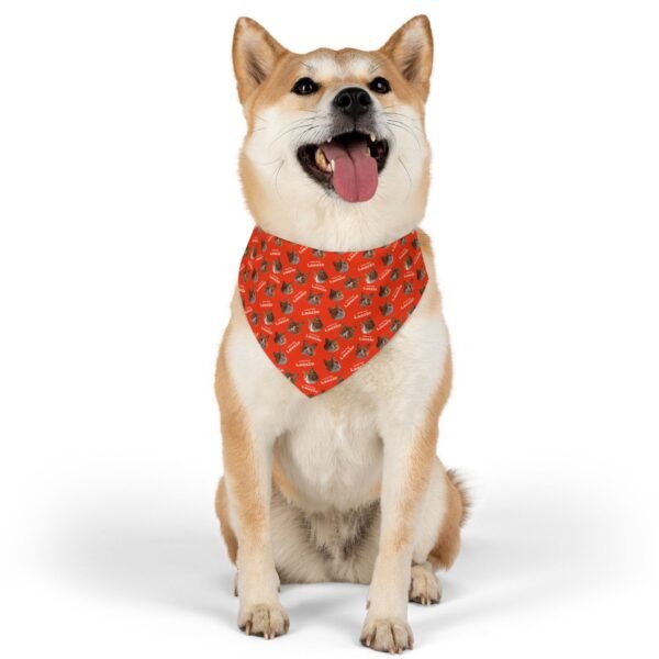 Laszlo Pet Bandana Collar