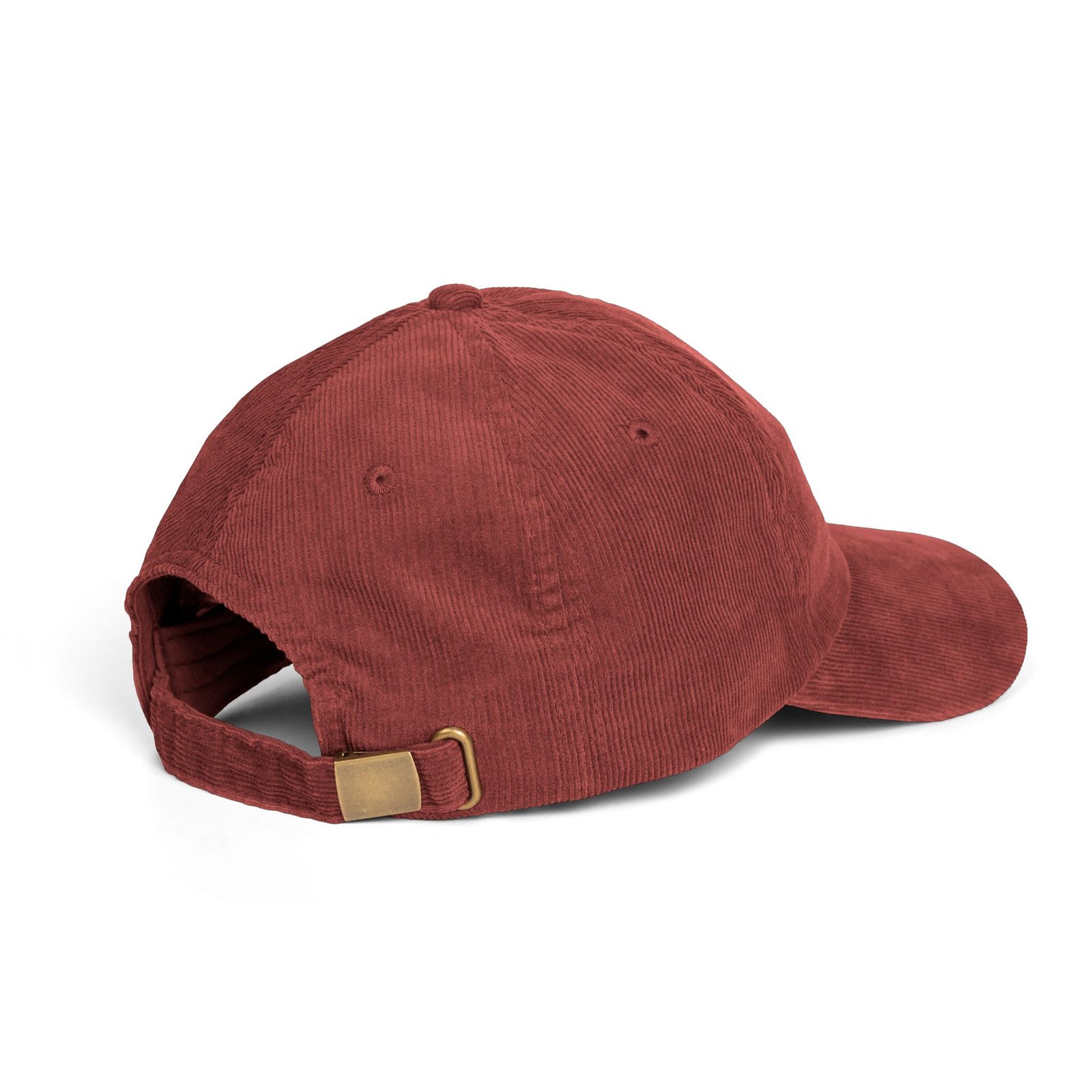 Corduroy Dad Cap — "Vote for Laszlo" Embroidered Vintage Hat - Image 12